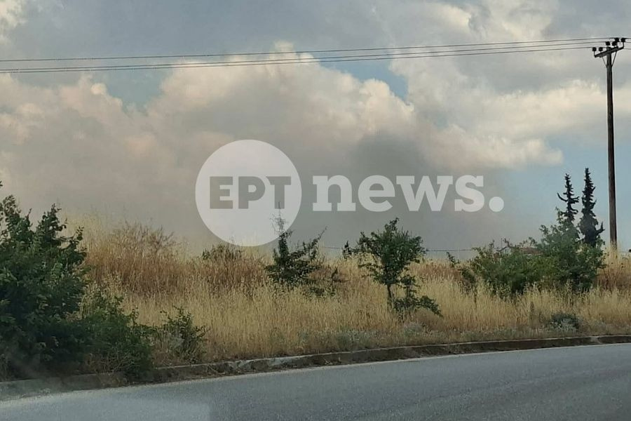 Θεσσαλονίκη: Ένας νεκρός στη μεγάλη φωτιά στο Δερβένι
