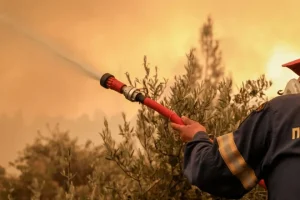 Φωτιά σε Φάρσαλα και Φθιώτιδα: Επιχειρούν και εναέρια μέσα