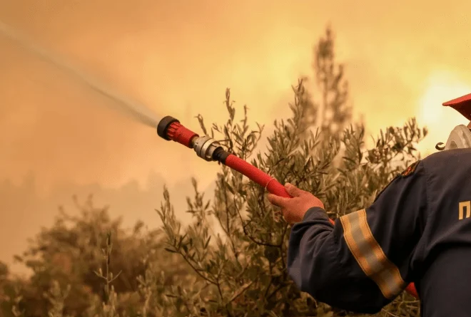 Φωτιά σε Φάρσαλα και Φθιώτιδα: Επιχειρούν και εναέρια μέσα