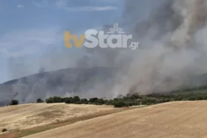 Ανεξέλεγκτη η φωτιά στον Ορχομενό: Επιχειρούν 7 αεροσκάφη και 3 ελικόπτερα