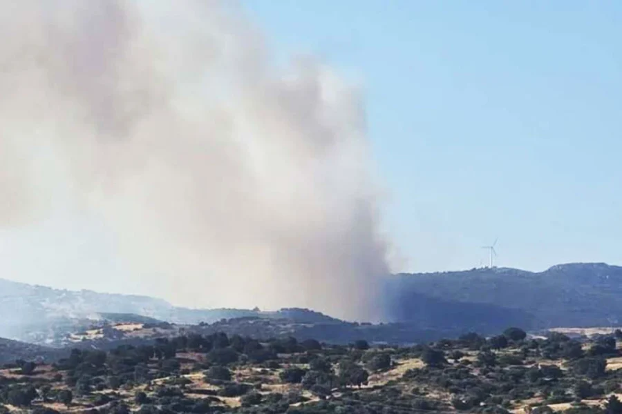 Μεγάλη φωτιά σε δάσος στην Εύβοια: Εκκενώνονται Μεσοχώρια και Ραπταίοι