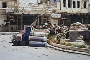 Λιοντάρια, έτος 1941