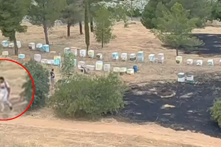 Άλσος Βεΐκου: Βίντεο-ντοκουμέντο που δείχνει μελισσοκόμο να απομακρύνεται όταν οριοθετήθηκε η φωτιά
