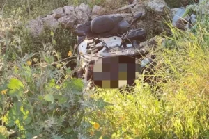 Σε τεχνητό κώμα 19χρονος Βρετανός μετά από τροχαίο με γουρούνα στην Ζάκυνθο