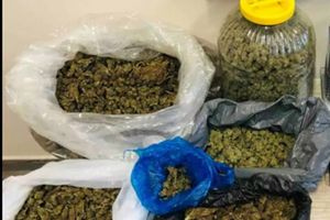 Πώς αλλάζει ο χάρτης των ναρκωτικών στην Ελλάδα: Κάνναβη και κοκαΐνη κυριαρχούν