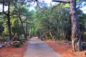 Σε Κρούστα, Καλό Χωριό και Πρίνα ο Ορειβατικός Σύλλογος Ηρακλείου