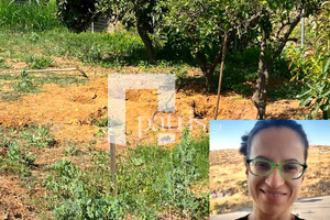 Δολοφονία 45χρονης Σταυρούλας: Το σχέδιο θανάτου και η «στημένη» εξαφάνιση της – Οι κρίσιμοι χρόνοι και οι αντιφάσεις του 43χρονου
