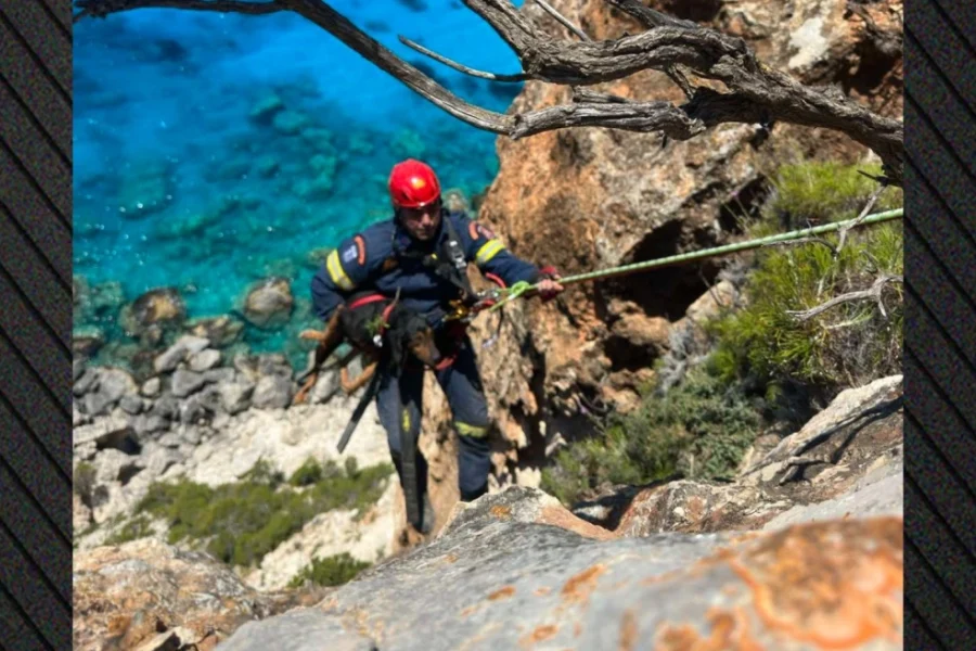 Ζάκυνθος: Η Πυροσβεστική έσωσε σκύλο που έπεσε σε γκρεμό παραλίας