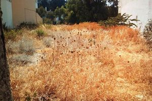 Δήμος Μινώα Πεδιάδας: Κάλεσμα στην εθελοντική Δράση Καθαρισμού κοινόχρηστων χώρων και οδικών δικτύων