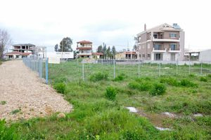 Βαρύ πρόστιμο: Η εκκρεμότητα που κοστίζει ακριβά και λήγει στα μέσα Ιουνίου