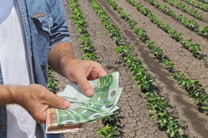 ΥΠΕΘΟΟ-ΥΠΑΑΤ-ΑΑΔΕ: Ανοίγει αύριο η εφαρμογή για υποβολή αίτησης για de minimis μηδικής
