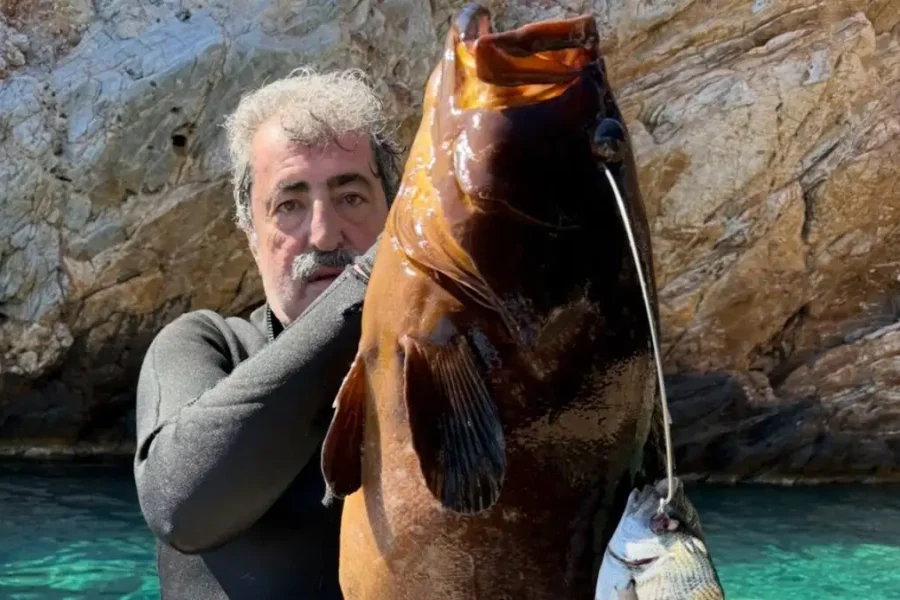 Ο Παύλος Πολάκης στέλνει μήνυμα στον Τσίπρα με… ροφό 13,5 κιλών: «Εμείς δεν ψαρεύουμε σε θολά νερά»