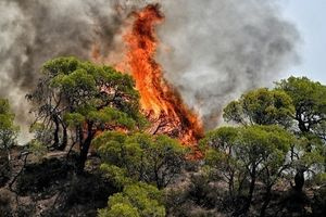 Πυροσβεστική: 64 αγροτοδασικές πυρκαγιές το τελευταίο 48ωρο σε διάφορες περιοχές της χώρας