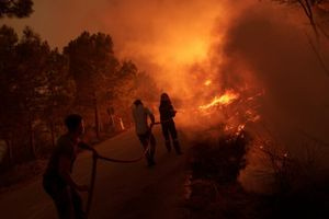 Το σχέδιο της ΕΕ για τις δασικές πυρκαγιές – Πυροσβεστικές δυνάμεις σε Ελλάδα και άλλες χώρες