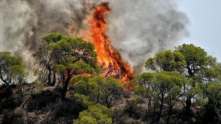 Πυροσβεστική: 64 αγροτοδασικές πυρκαγιές το τελευταίο 48ωρο σε διάφορες περιοχές της χώρας