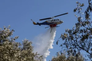 Πυροσβεστική: 44 αγροτοδασικές πυρκαγιές το τελευταίο 24ωρο – Δύο συλλήψεις και ένα διοικητικό πρόστιμο