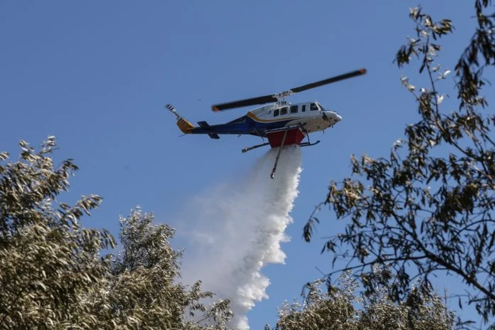 Πυροσβεστική: 44 αγροτοδασικές πυρκαγιές το τελευταίο 24ωρο – Δύο συλλήψεις και ένα διοικητικό πρόστιμο
