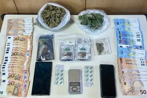 (ΦΩΤΟ) Αστυνομική επιχείρηση στο Ρέθυμνο για δενδρύλλια κάνναβης – Δύο συλλήψεις