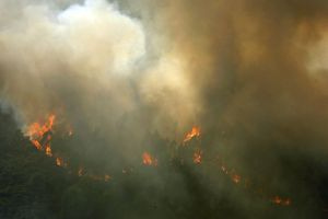 Φωτιές και στην Πορτογαλία εν μέσω καύσωνα – Πάνω από 1.000 πυροσβέστες επιχειρούν