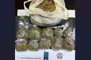 Ρόδος: Συνελήφθη 54χρονος για διακίνηση και καλλιέργεια κάνναβης