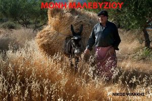 Το πλήρες Καλοκαιρινό και Φθινοπωρινό πρόγραμμα εκδηλώσεων του Πολιτιστικού Συλλόγου Μονής Μαλεβιζίου
