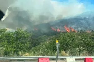 Φωτιά στον Ωρωπό: Ήχησε το 112 – Επί ποδός η Πυροσβεστική