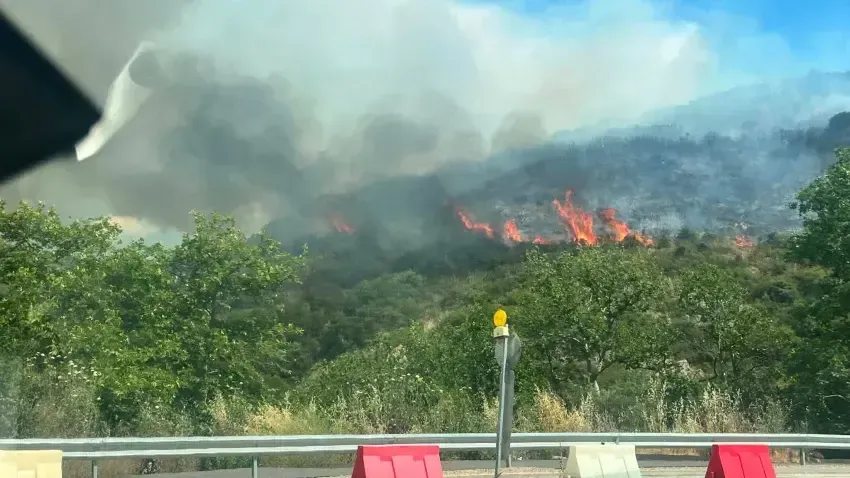 Φωτιά στον Ωρωπό: Ήχησε το 112 – Επί ποδός η Πυροσβεστική