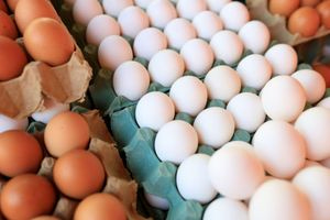 Τα LIDL ανακαλούν παρτίδες μολυσμένων αυγών με σαλμονέλα