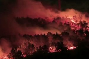 Τέσσερις άνθρωποι τραυματίστηκαν από τις πυρκαγιές στην Πορτογαλία