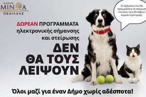 Δωρεάν κτηνιατρική δράση του Δήμου Μινώα Πεδιάδας για ευάλωτες κοινωνικές ομάδες και κτηνοτρόφους- Από 31 Ιουλίου έως 4 Αυγούστου