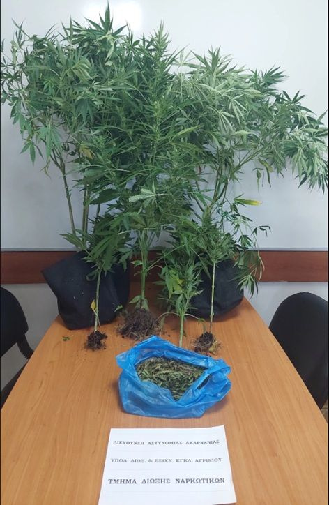 Συνελήφθη άνδρας στην Αιτωλοακαρνανία για καλλιέργεια ναρκωτικών