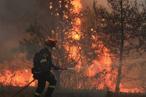 Γύθειο: Η ανακοίνωση της πυροσβεστικής για το θάνατο του τρίτου πυροσβέστη