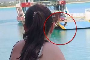 Ελαφόνησος: Πλοίο μπήκε στο λιμάνι με ανοιχτό καταπέλτη – Επιβιβάστηκε κολυμβητής από θαλάσσης