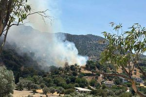 Βορίζια: Τι άφησε πίσω της η πυρκαγιά (βίντεο) – Δεν απειλήθηκαν σπίτια