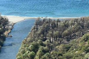 Φοινικόδασος Πρέβελη: Αυτή είναι η πραγματική εικόνα μετά την “πυρολαγνεία” του διαδικτύου – Δείτε βίντεο (pics, vid)