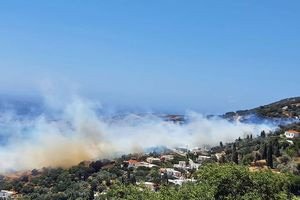 Φωτιά στην Άνδρο: Μηνύματα από το 112 για εκκενώσεις σε Παλαιόπολη και Κόλυμπο