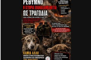 Ρέθυμνο: Η ιστορία επαναλαμβάνεται ως τραγωδία – Η Κρήτη δεν αντέχει άλλη καταστροφή