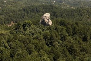 Χαλκιδική: Απαγόρευση κυκλοφορίας σε δασικές περιοχές λόγω υψηλού κινδύνου πυρκαγιάς