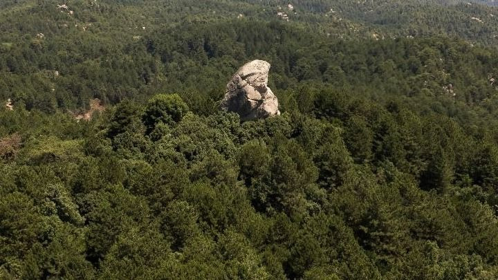 Χαλκιδική: Απαγόρευση κυκλοφορίας σε δασικές περιοχές λόγω υψηλού κινδύνου πυρκαγιάς