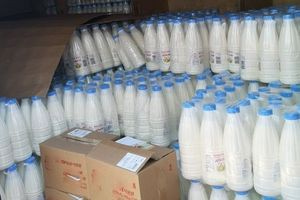 Κατάσχεση άνω των δύο τόνων ακατάλληλων γαλακτοκομικών προϊόντων από την ΑΑΔΕ