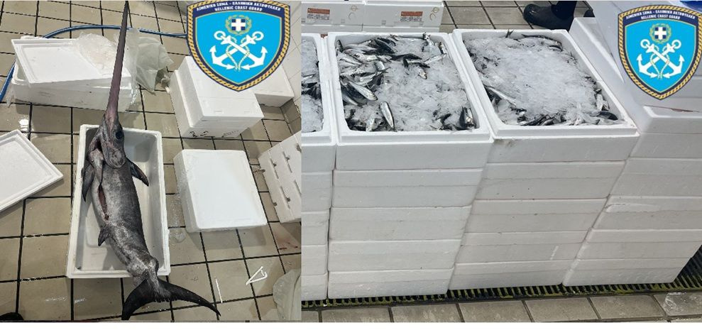 Κατασχέθηκαν 336 κιλά σαρδέλες κι ένας ξιφίας περίπου 16 κιλών στην Ιχθυόσκαλα Νέας Μηχανιώνας