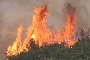 Πυρκαγιά σε αγροτική έκταση στα Λάβαρα του Δήμου Σουφλίου