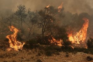Κακουργηματική δίωξη στον υπεύθυνο του ΔΕΔΔΗΕ Ρεθύμνου – Απολογείται το πρωί του Σαββάτου