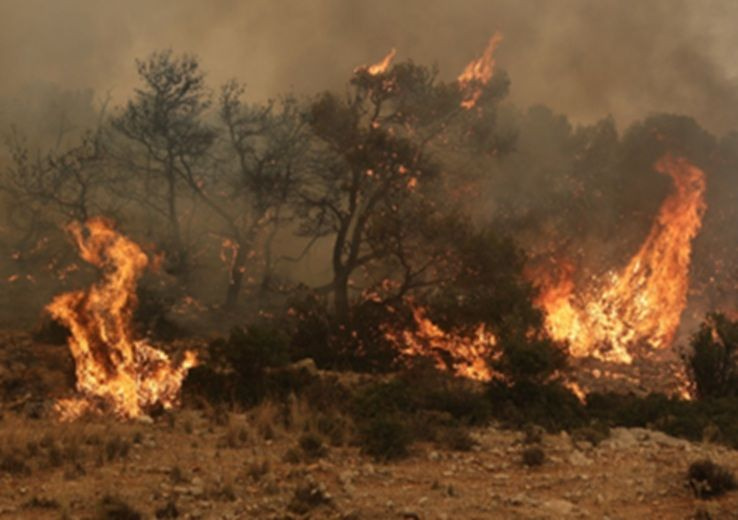Ερμιόνη: «Υπό έλεγχο η φωτιά στην περιοχή της Χινίτσας», σύμφωνα με τον δήμαρχο