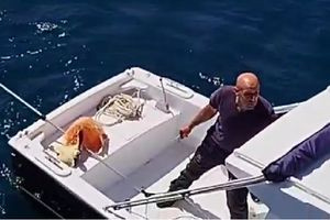 Συγκλονιστική διάσωση θαλάσσιας χελώνας στη Σύρο
