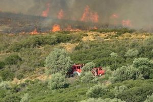 Συμβουλές της Πυροσβεστικής στους πολίτες για την αποφυγή πυρκαγιών