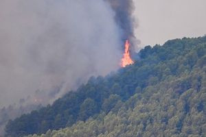 Γαλλία: Λιγότερες οι ενεργές εστίες στην Ζιρόντ – Ισπανία: Επιβράδυνση της εξάπλωσης της πυρκαγιάς στην περιοχή της Μαδρίτης