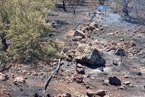 Δήμος Φαιστού: Άμεση και συντονισμένη η κινητοποίηση για την κατάσβεση στην Αληθινή
