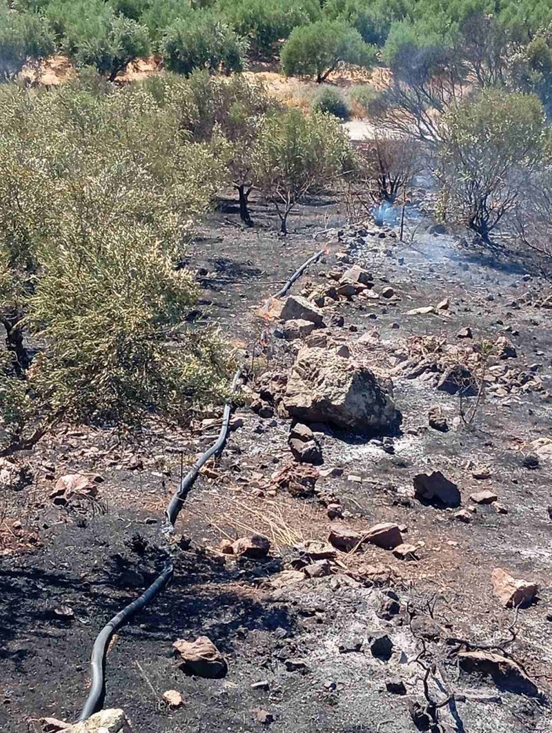 Δήμος Φαιστού: Άμεση και συντονισμένη η κινητοποίηση για την κατάσβεση στην Αληθινή