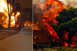 Οκτώ χρόνια μετά τη φονική πυρκαγιά στο Μάτι, το βίντεο που κόβει την ανάσα: Γύρισε να σώσει τη γάτα του και τον κύκλωσαν οι φλόγες